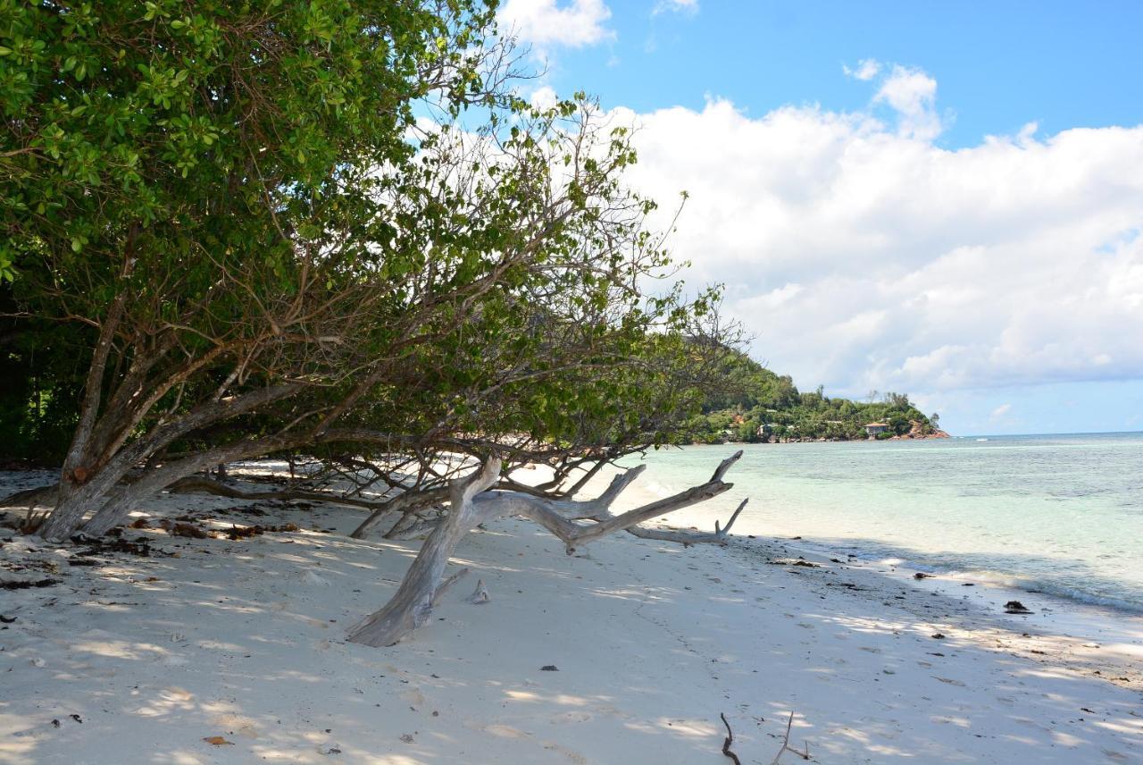 Villa Anse La Blague Baie Sainte Anne Exterior foto